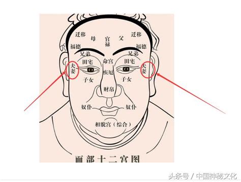 夫妻宮有痣|夫妻宮面相解析指南：解讀婚姻幸福密碼